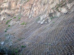 边坡防护网图1