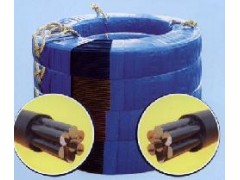 无粘结预应力钢绞线图1