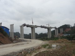 驾荔桥墩项目钢模板租赁图1