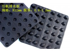 塑料排水板H-12mm图1