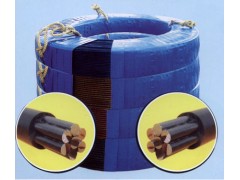 无粘结预应力钢绞线图1