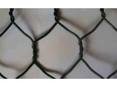 供应梧州石笼网挡土墙，铅丝笼，生态石笼网，品牌厂家专业生产图3