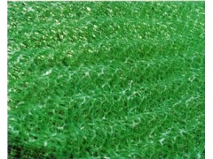 三维土工网垫图1