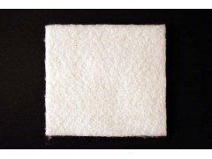 短纤土工布图1