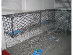 供应丽水生态格宾网|塞克格宾网|河岸护坡绿格网图3