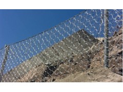 腾和边坡防护网图1