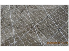 腾和边坡防护网图3