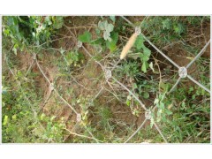 腾和供应有SNS柔性防护网，主动防护网，被动防护网，环形网等图1