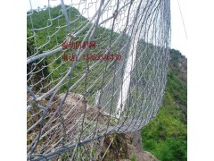 河北臣运专业生产制造边坡防护网 边坡防护解决方案全程提供商图2
