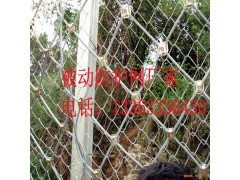 河北臣运专业生产制造边坡防护网 边坡防护解决方案全程提供商图3