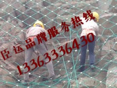 广西主动防护网，边坡防护网，柔性防护网优秀供应商图2