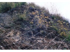 腾和边坡防护网图2