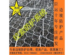 sns绞索网供应现货 山体绞索网供应现货 优质绞索网供应现货图1