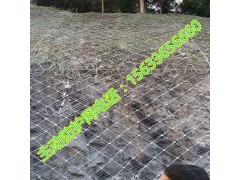主动网 主动网施工 主动式防护网 主动边坡防护网图1