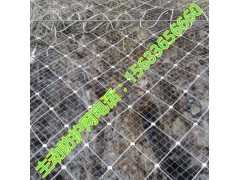 柔性主动边坡防护网施工 柔性主动边坡防护网规格图1