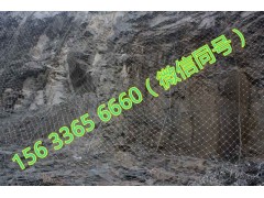 优质钛克网厂 包山钛克网厂 防落石钛克网  高强度钢丝格栅网图1