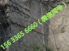 优质钛克网厂 包山钛克网厂 防落石钛克网  高强度钢丝格栅网图3