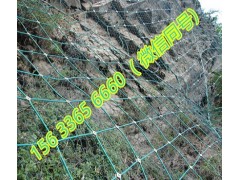 镀锌钢丝绳网主动防护 柔性主动边坡防护网图1
