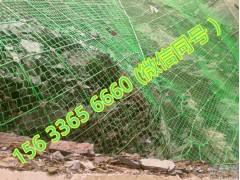 柔性钢丝绳网主动防护  深基坑边坡挂网 包山主动边坡防护网图1