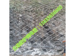 sns绞索网 绞索网价格 绞索网施工 绞索网厂家图1