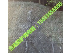 sns绞索网 绞索网价格 绞索网施工 绞索网厂家图2