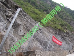 安平环形网施工  河北环形网销售 河北环形网报价图2