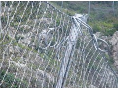 环形网厂家 环形网价格 环形网施工 环形网规格图1