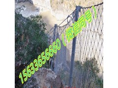 环形网厂家 环形网价格 环形网施工 环形网规格图2