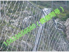 被动防护网 被动钢丝绳网 被动防护网厂 被动防护网价格图2