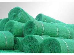 河北三维土工网垫厂家图1