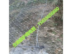 gps2主动边坡防护网   gps2主动防护网施工图1