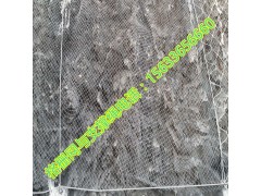 gps2主动边坡防护网   gps2主动防护网施工图2