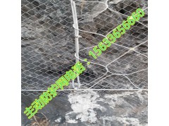 sns主动柔性防护网   sns柔性主动防护网国标图1