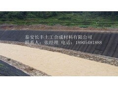 加筋麦克垫厂家直销,价格优惠图3