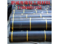 厂家直销鱼塘、藕池防渗膜垃圾填埋场土工膜规格全 价格低图1