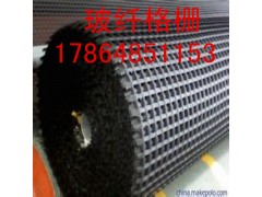 厂家直供土工材料玻纤格栅 规格全价格低图2