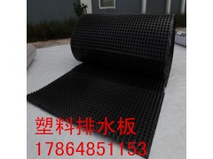 厂家直销车库顶板绿化排水板 工程用排水板 规格全价格低图3