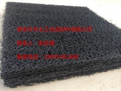 渗排水网垫/网板/席垫广泛应用于工程建设图1