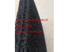 聚丙烯树脂渗水网板大量供货,规格齐全,山东泰安长丰土工图3