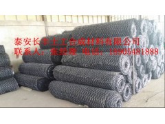 生态护坡专用加筋三维植物网垫就选长丰土工图3