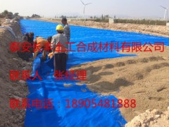 pvc毛细防排水板生产标准TB3354-GB479图1