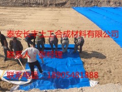 pvc毛细防排水板生产标准TB3354-GB479图2