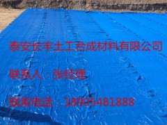 pvc毛细防排水板生产标准TB3354-GB479图3