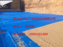 毛细式透排水板/带/管生产厂家——山东长丰土工图1