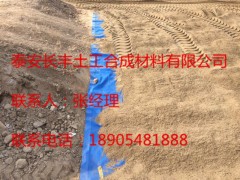 毛细式透排水板/带/管生产厂家——山东长丰土工图2