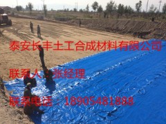 毛细式透排水板/带/管生产厂家——山东长丰土工图3