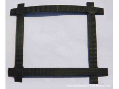 钢塑复合土工格栅（GSL,GDL)图1