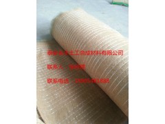 生态环保护坡植被毯,边坡绿化首选--山东泰安长丰图2