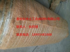 生态环保护坡植被毯,边坡绿化首选--山东泰安长丰图3