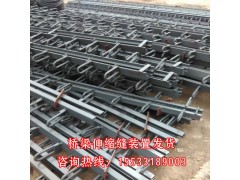 公路桥梁伸缩缝装置武汉定做E=80型单组式桥梁伸缩缝图1